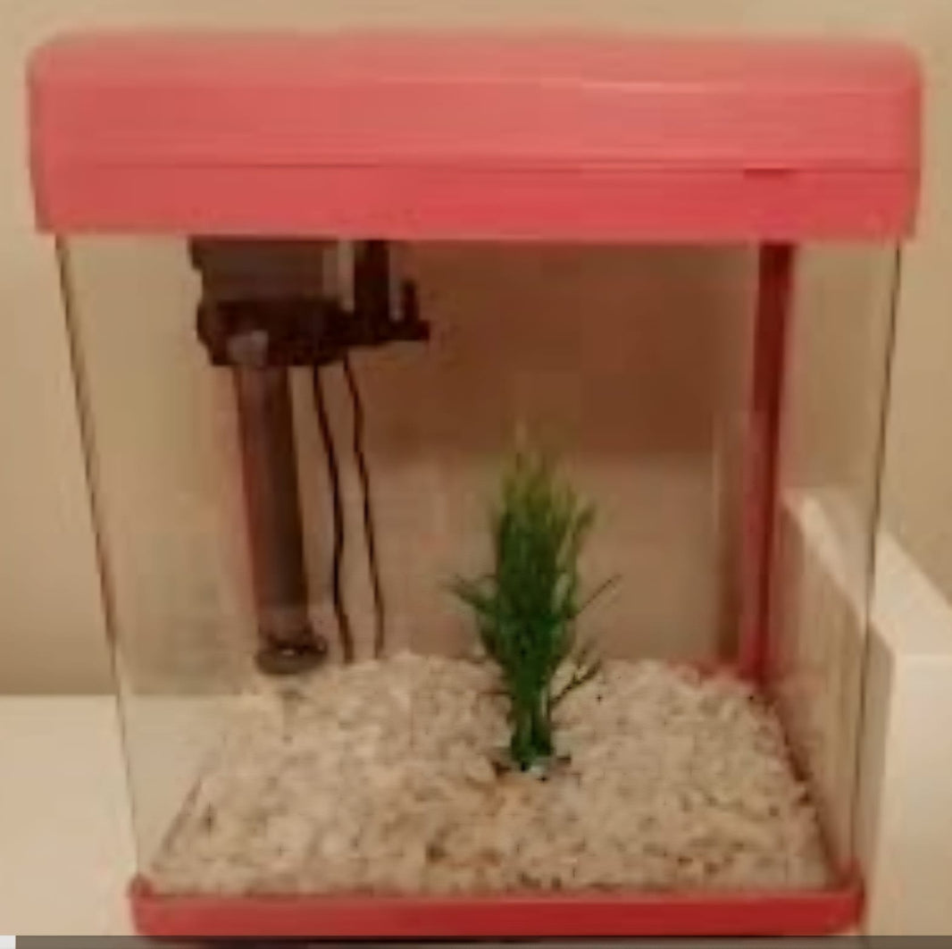 SAAS Aquarium Tank – Medium