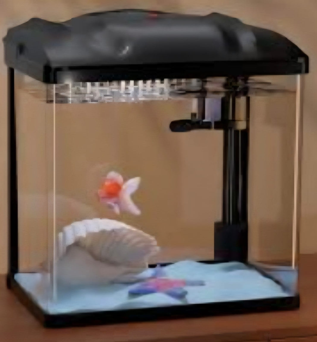 SAAS Aquarium Tank – X Large