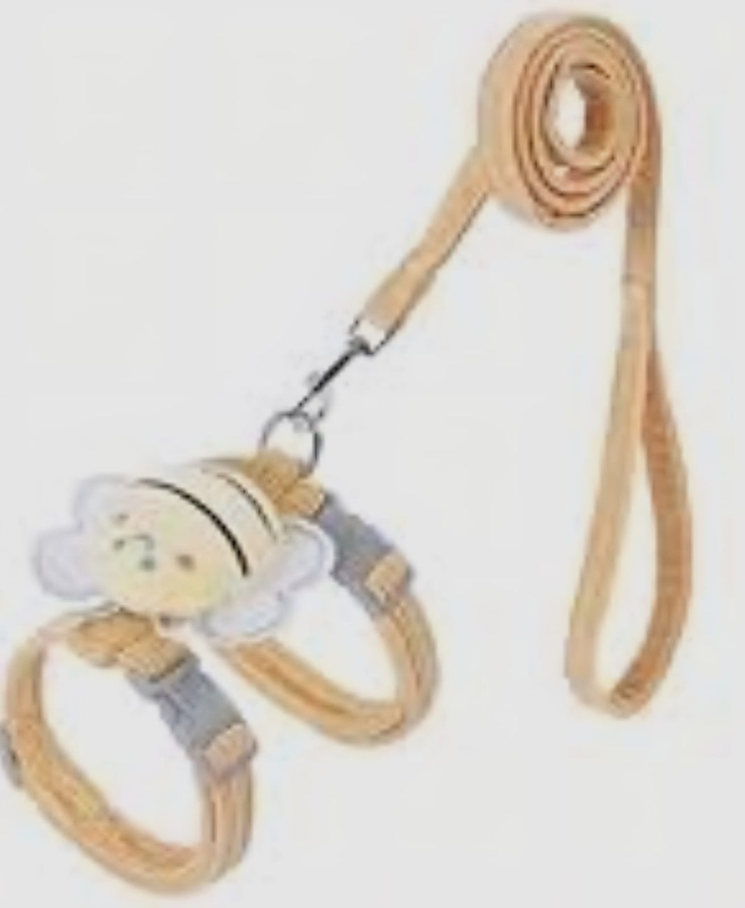SAAS Cat/Puppy Leash & Harness – Small