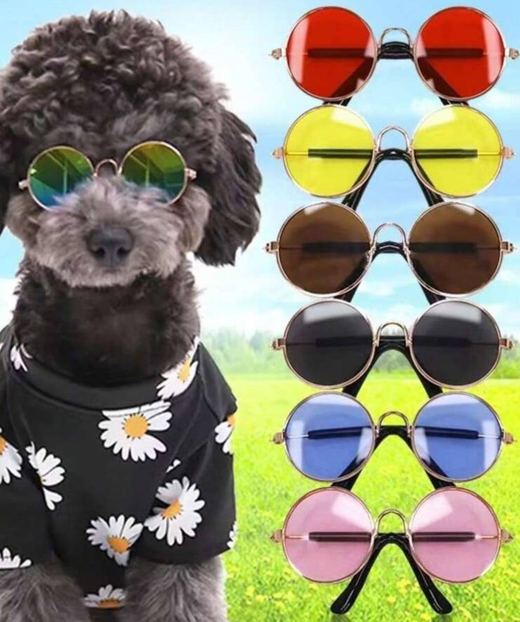 Saas Pet Glasses