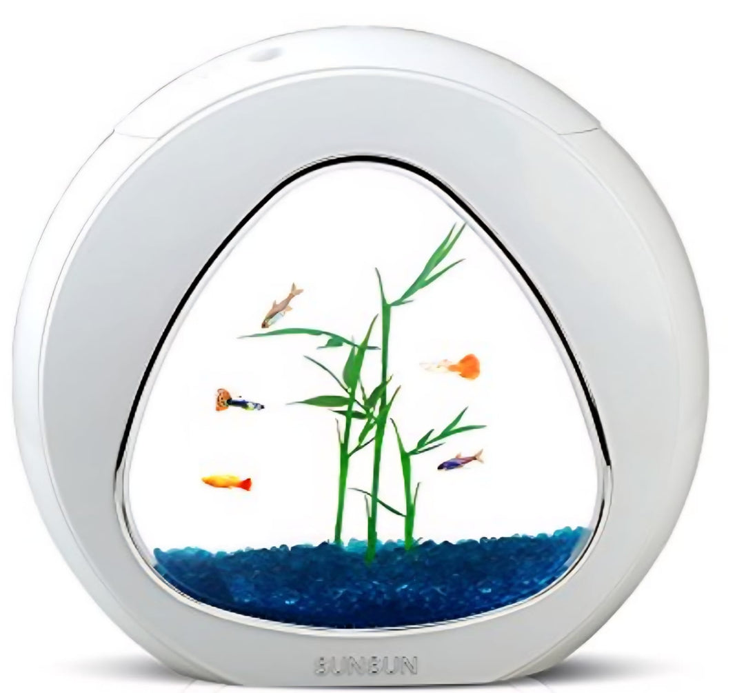 Sunsun Premium Aquarium Tank – Small