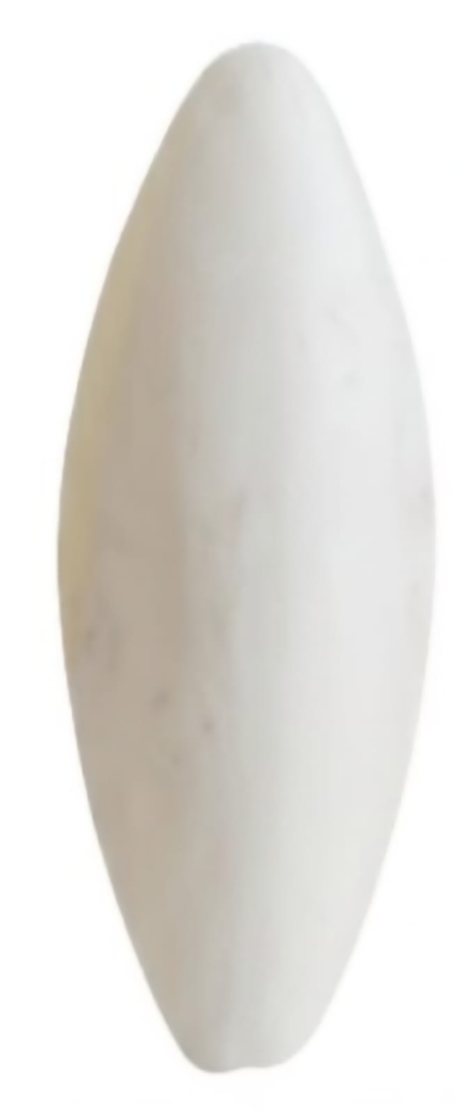 Calcium Cuttlebone for Birds