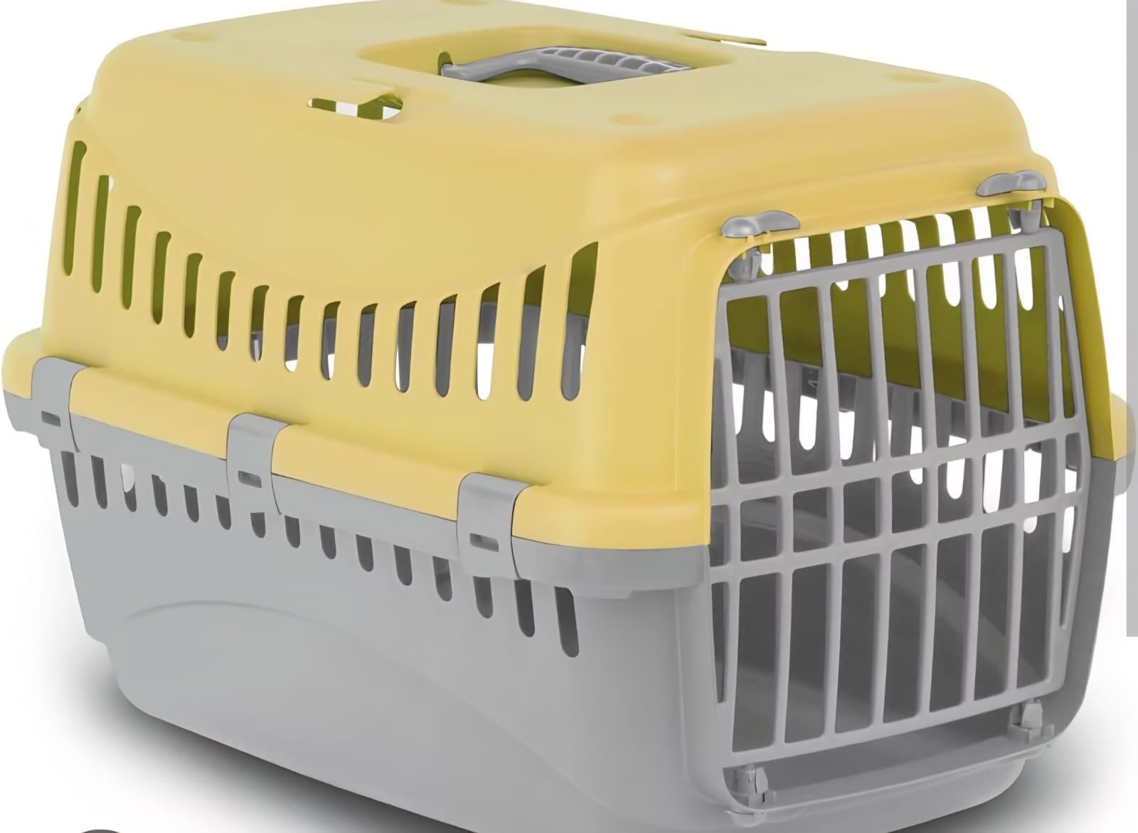 Carrier Box - Medium