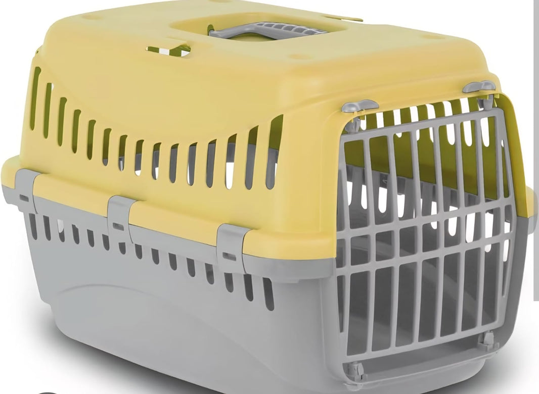 Carrier Box - Medium