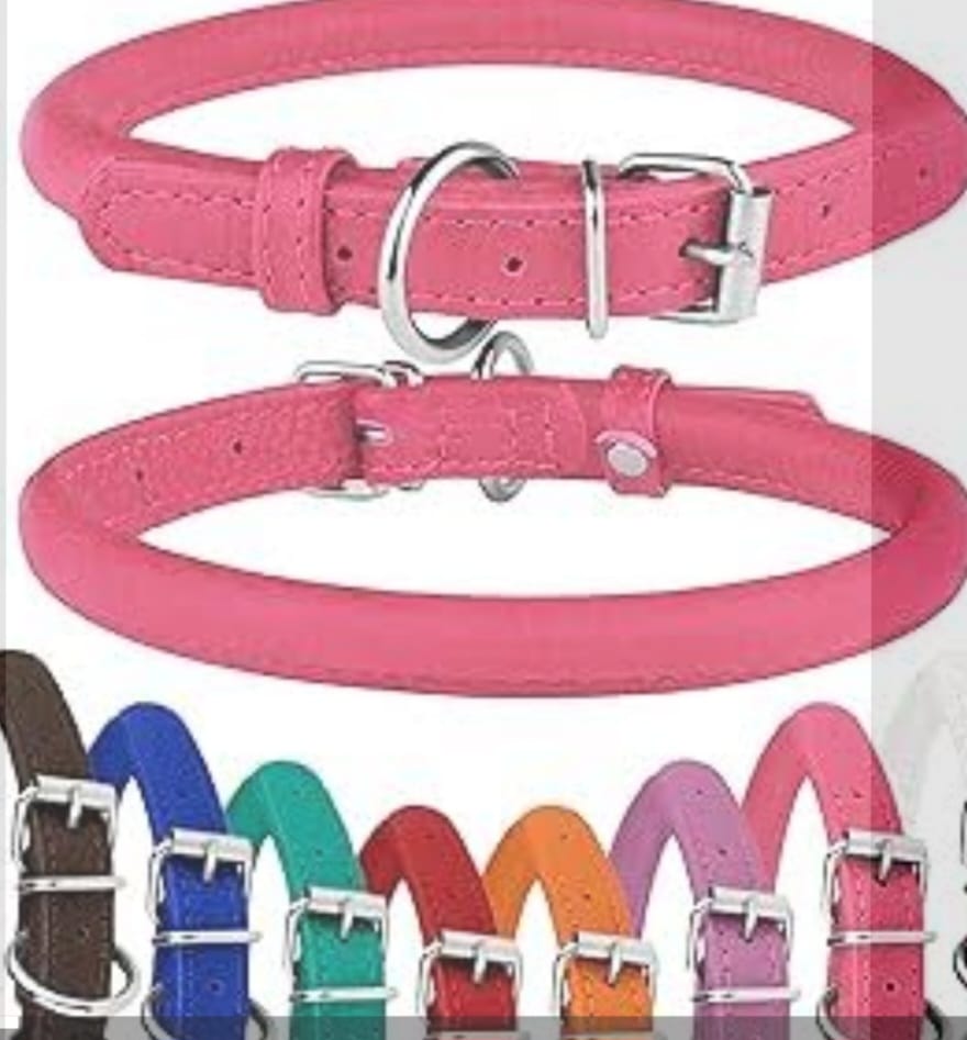 Dog Classic Collar