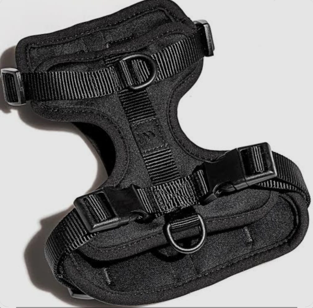 Dog Harness – Medium (Black)