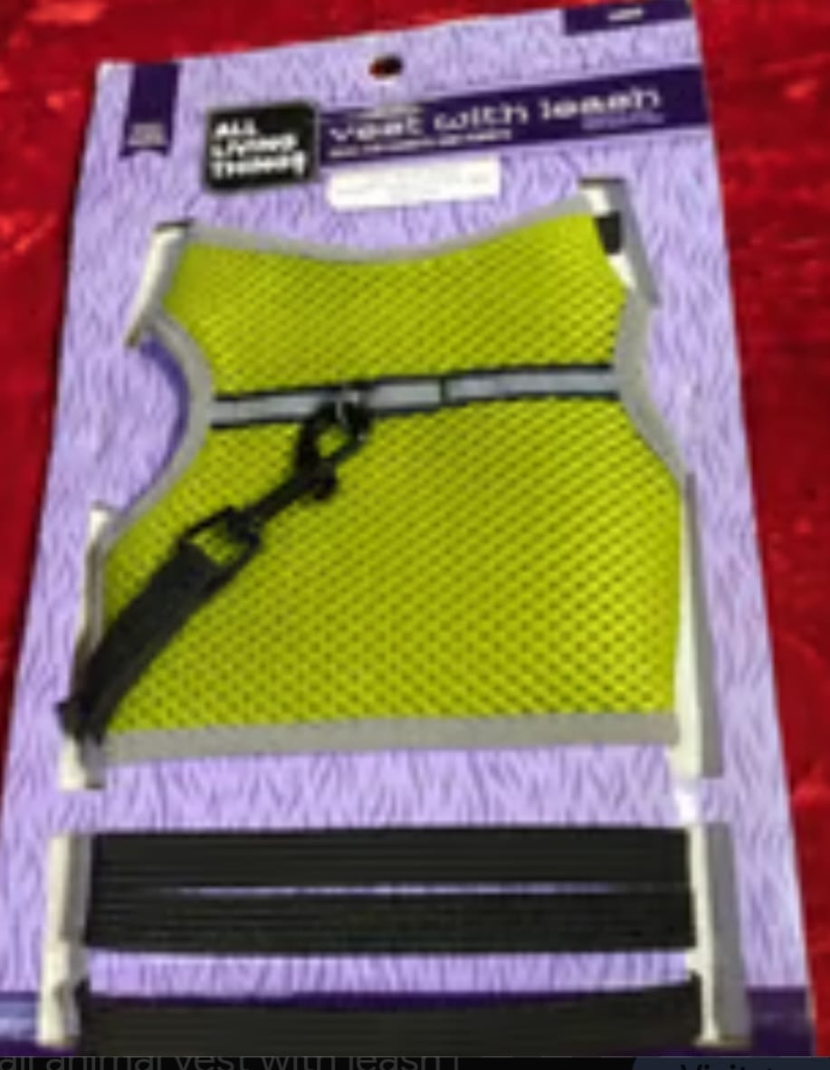 Full Body Cover Harness With Leash