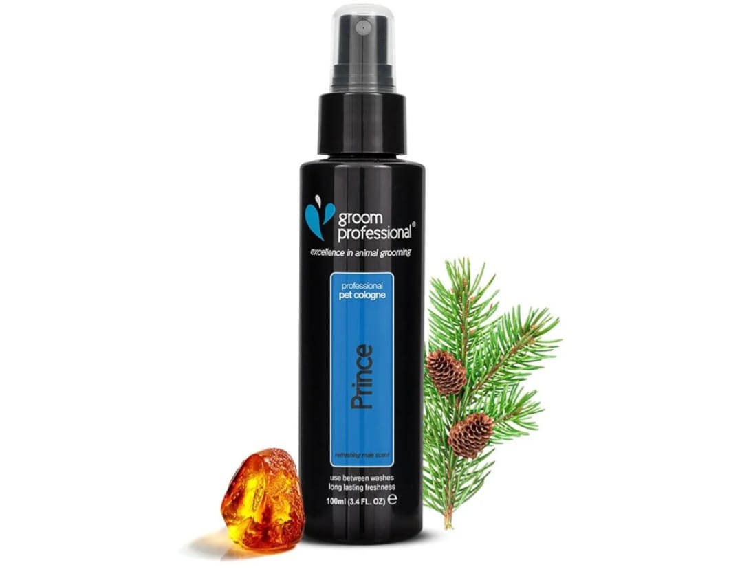 Groom professional  prince perfume