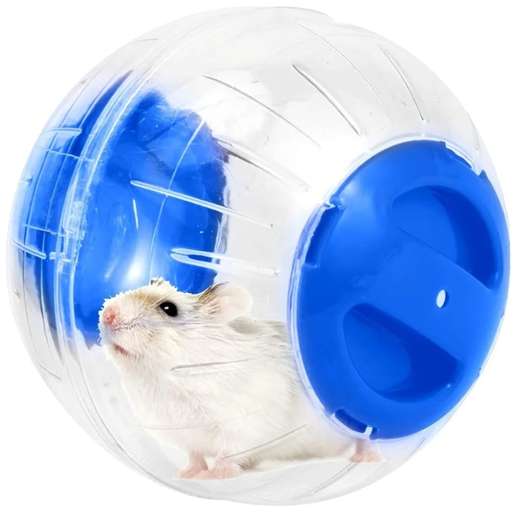 Hamster Crystal Ball