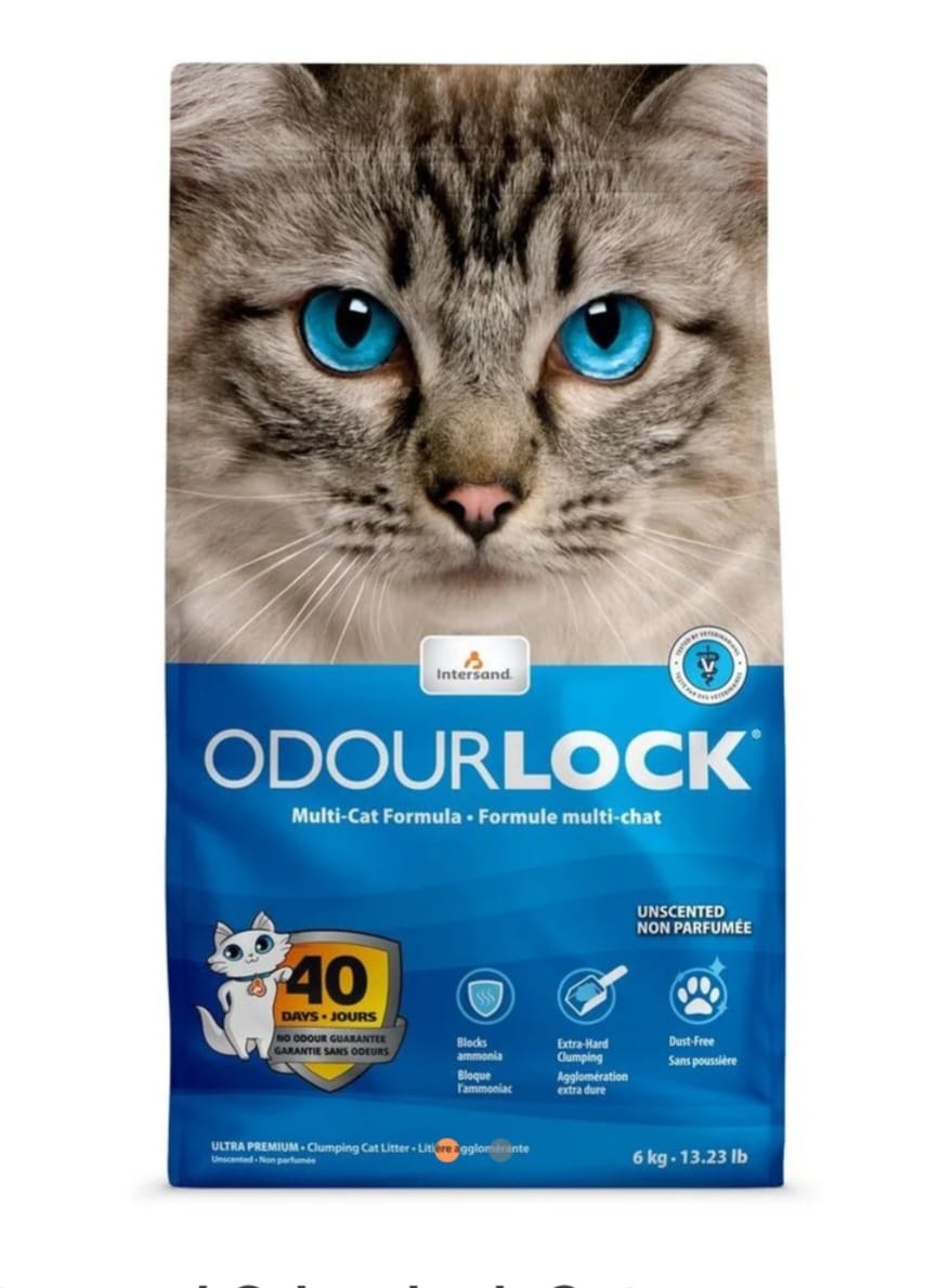 Intersand Odourlock Cat Litter Unscented 6kg
