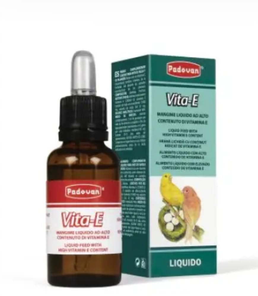 Padovan Vita-E