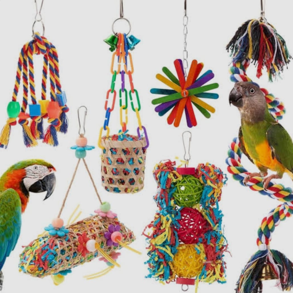 Pets Club Mixed Small Bird Toys