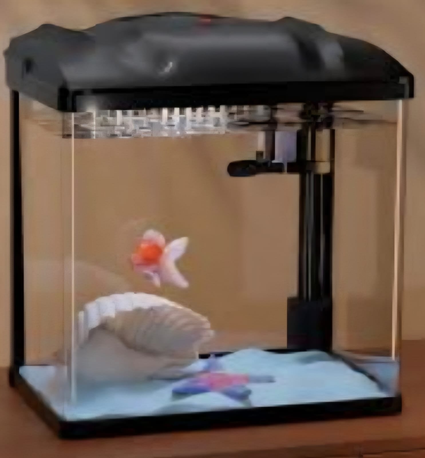 SAAS Aquarium Tank – X Large