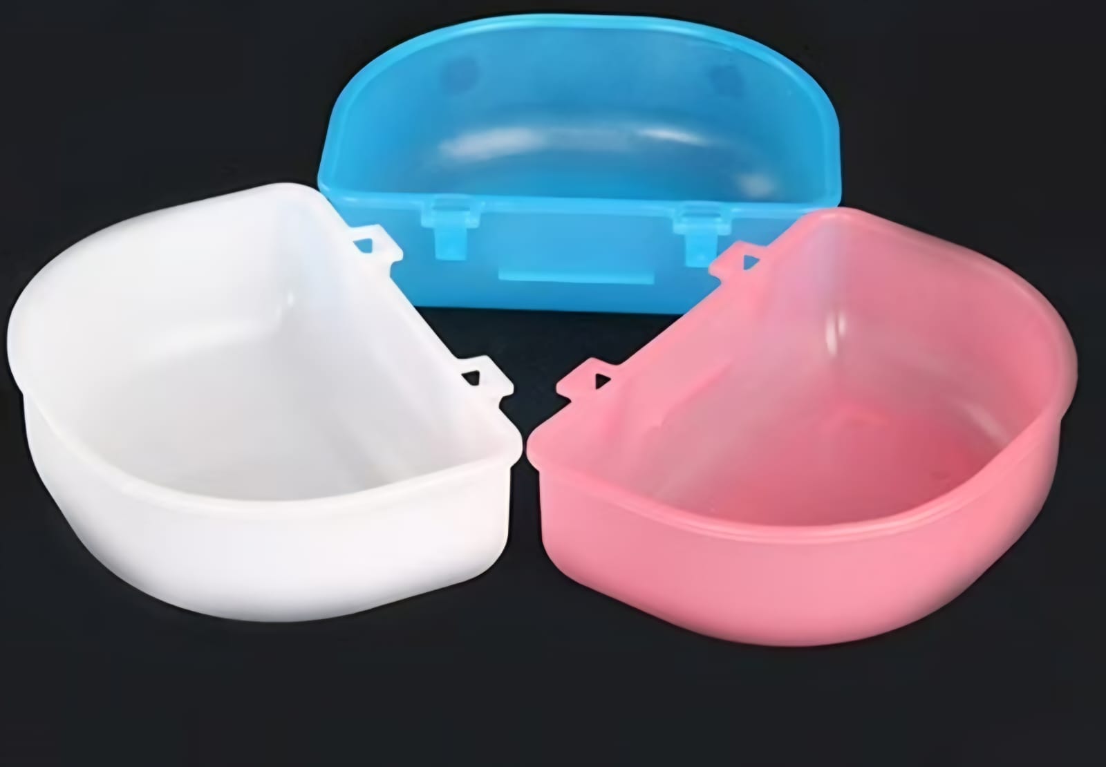 SAAS Bird Small Bowl