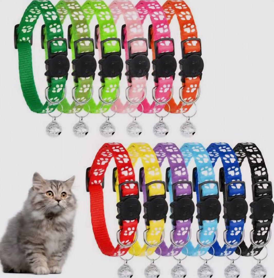 SAAS Cat Collar Adjustable