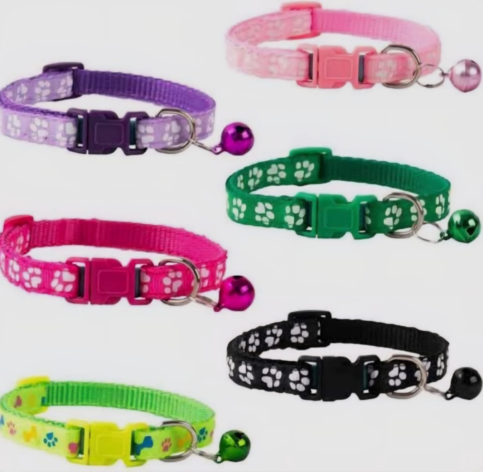 SAAS Cat Collar – Small