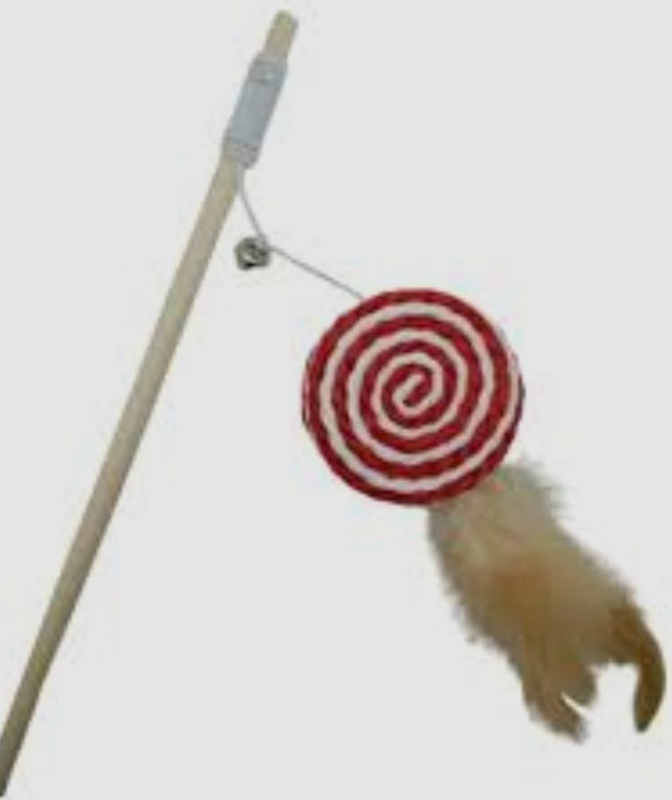 SAAS Cat Teaser Toy