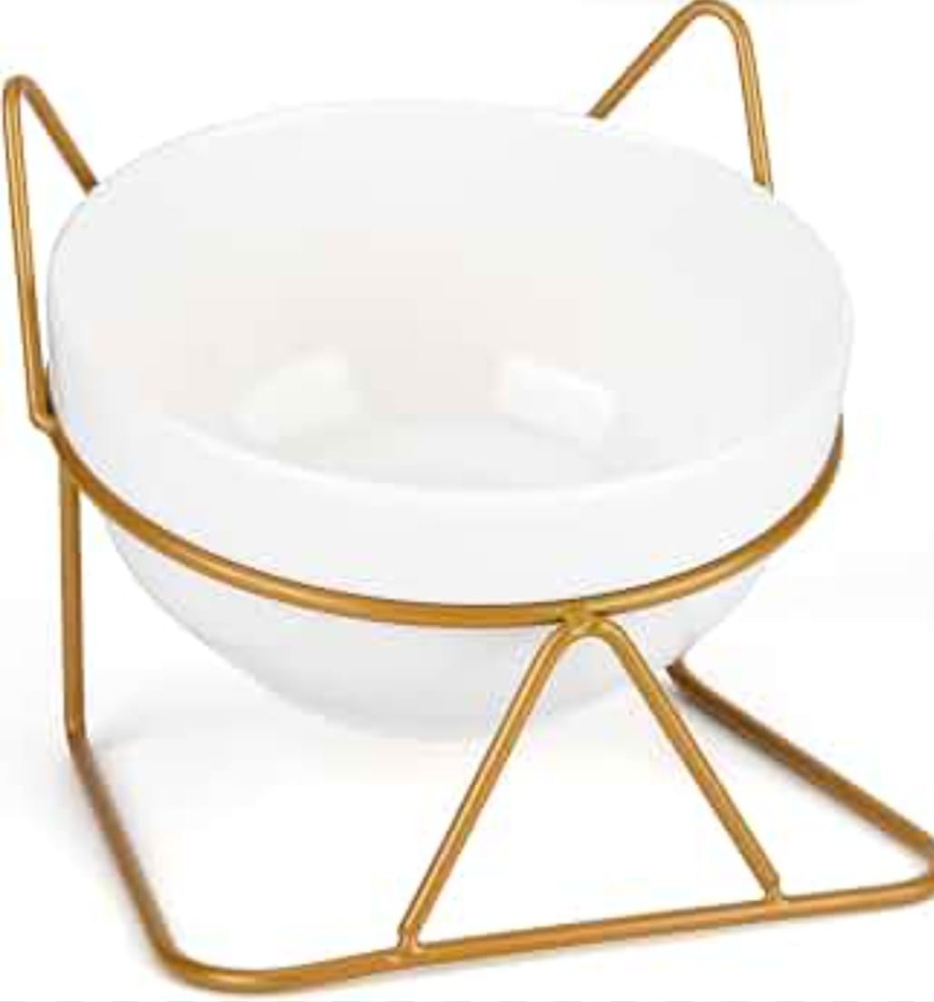 SAAS Ceramic Bowl with Gold Steel Hanging Stand