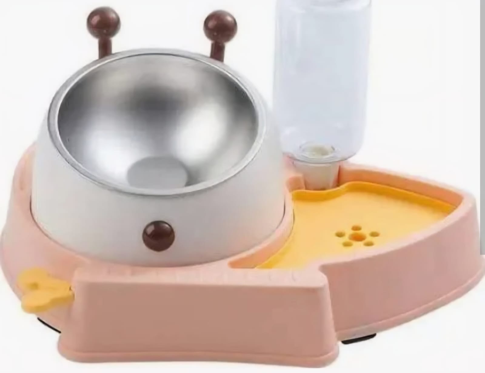 SAAS Classic Bowl With Water Bottle – Medium