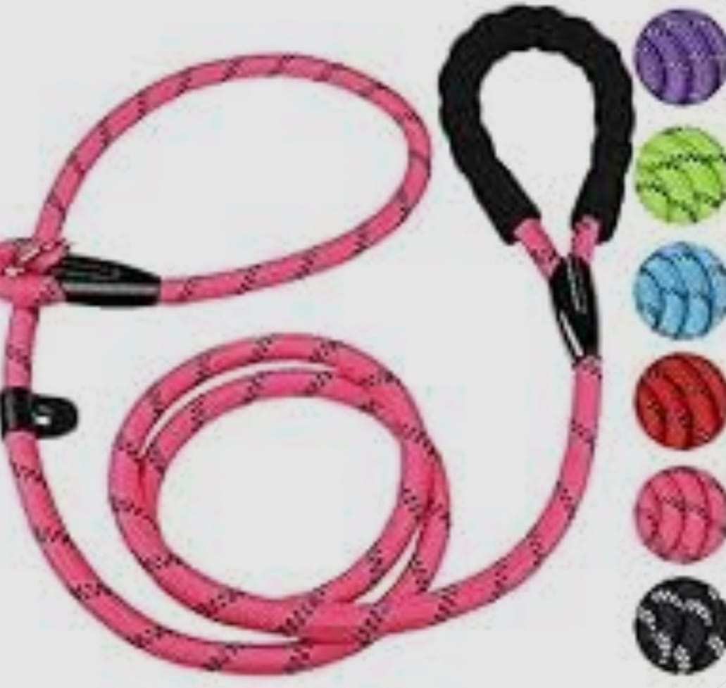 SAAS Dog Leash