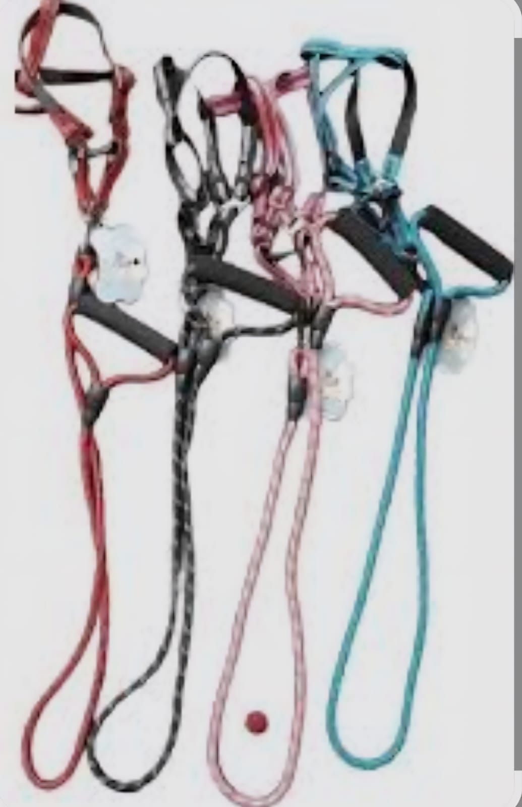 SAAS Dog Leash With Harness – Medium