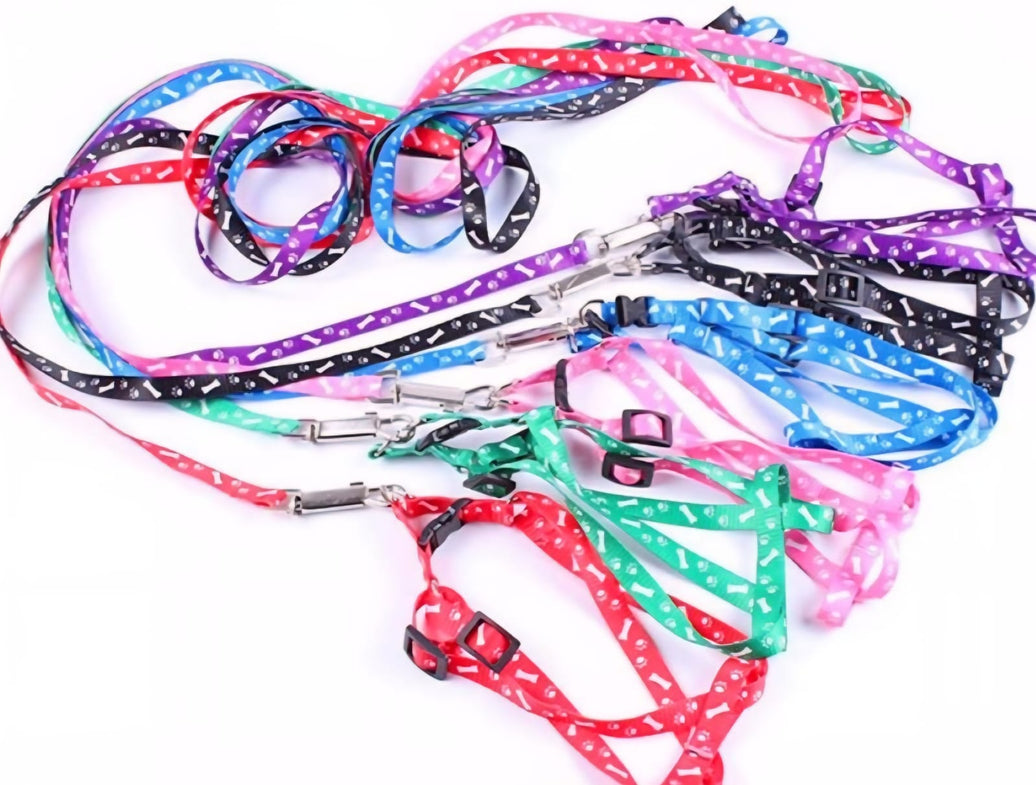 SAAS Dog Leash – Small