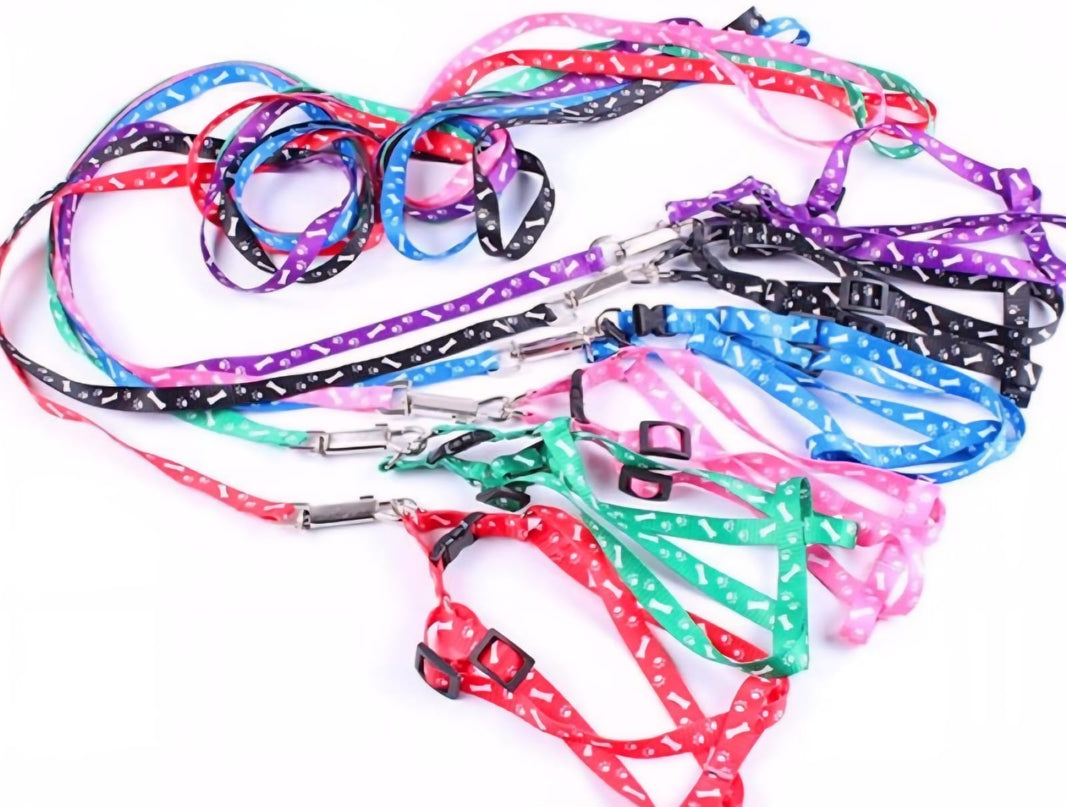 SAAS Dog Leash – Small