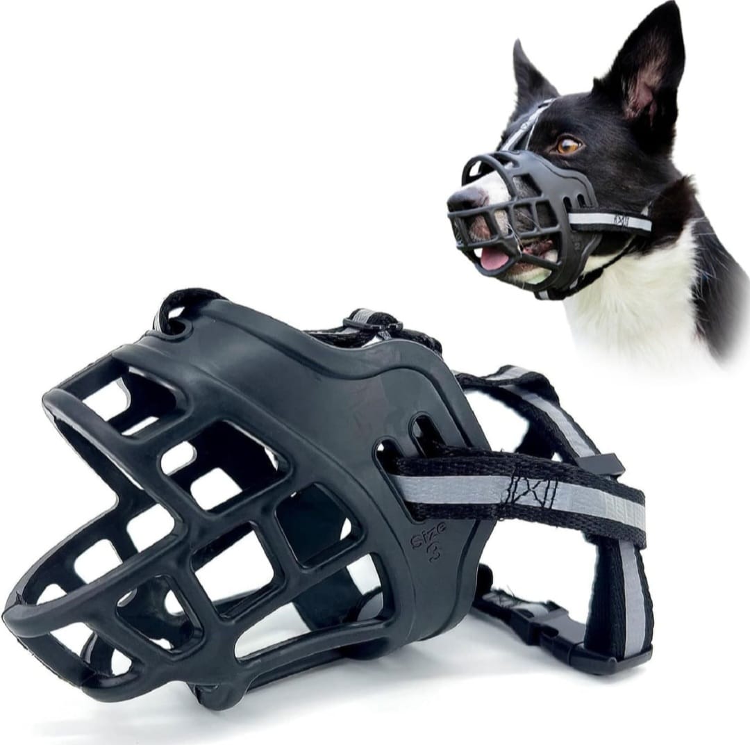 SAAS Dog Muzzle – Large Size