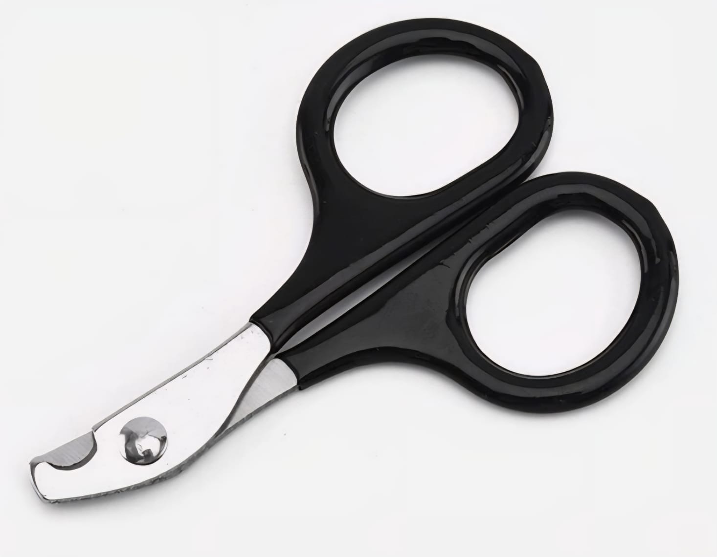 SAAS Nail Clipper – Small