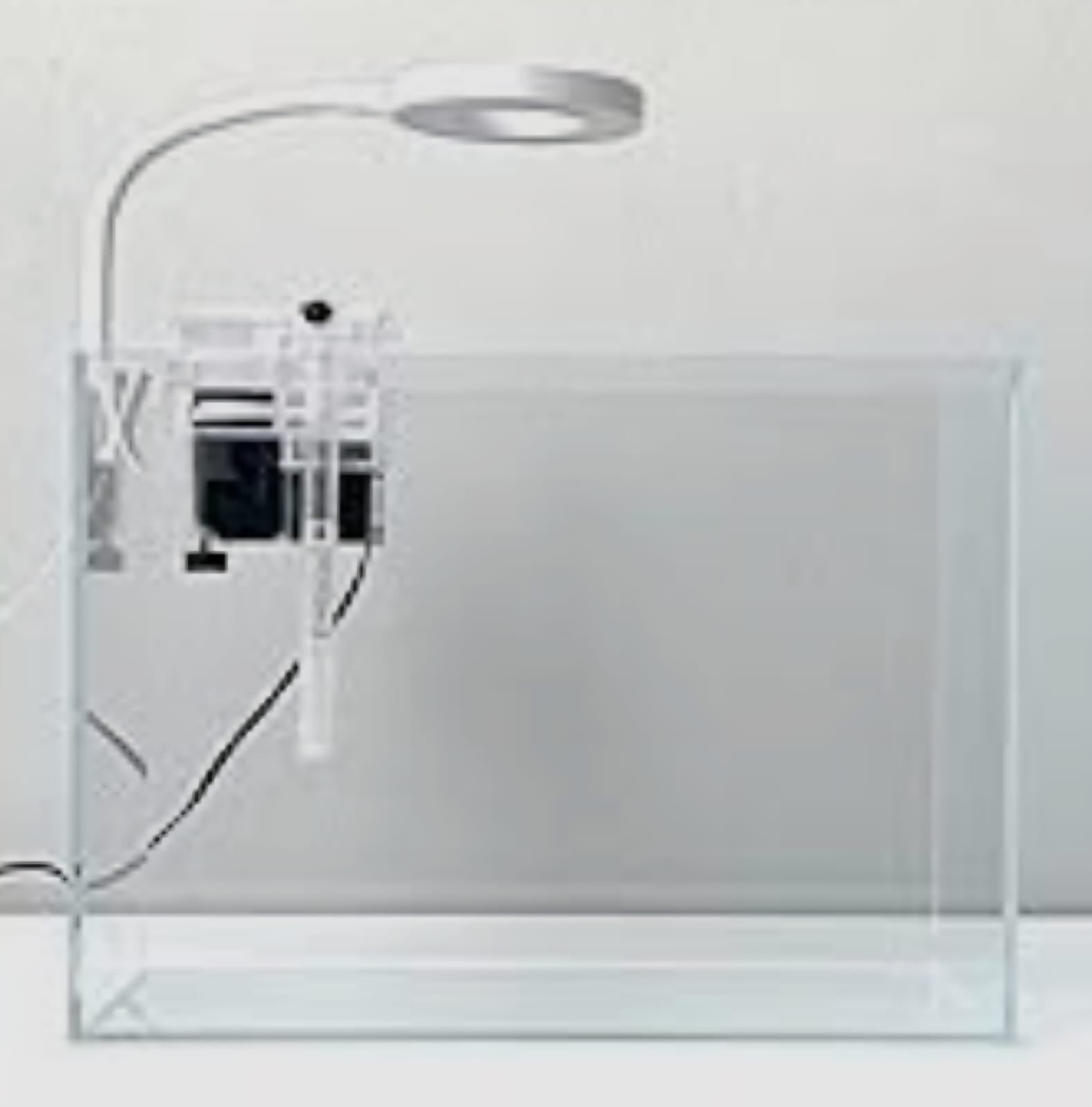SAAS Normal Aquarium Tank – Medium