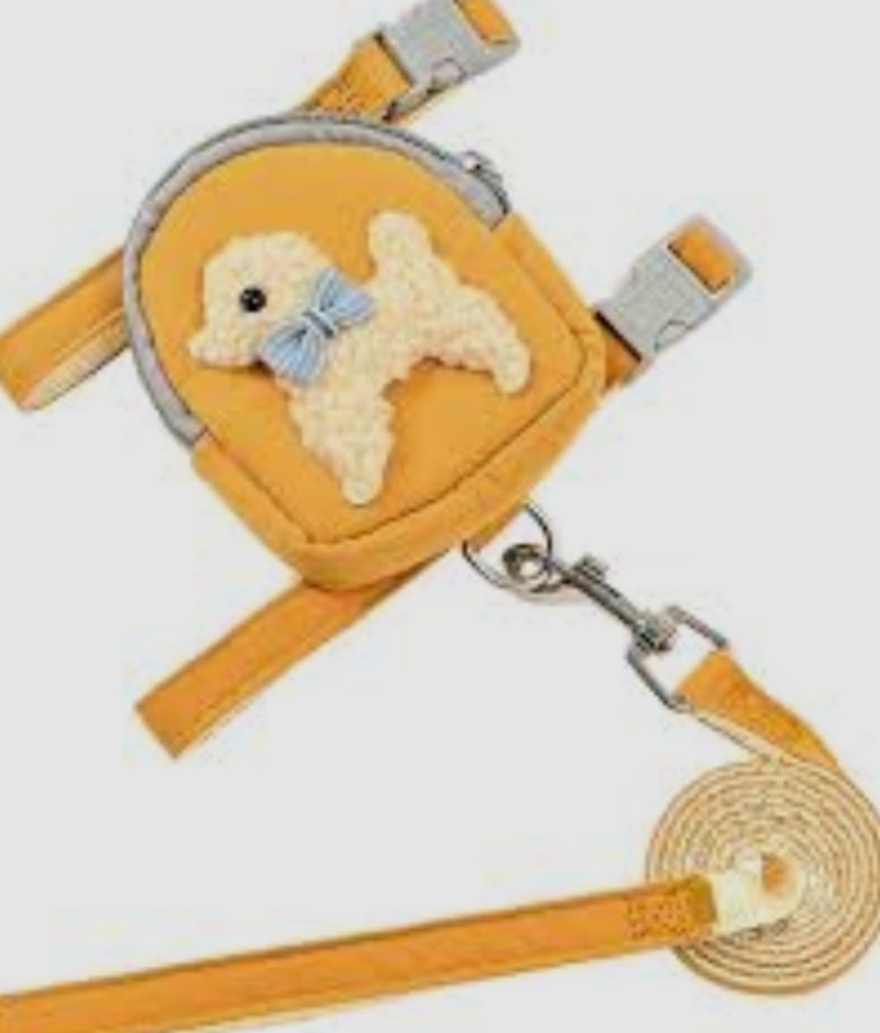 SAAS Puppy Leash & Harness Set – Small