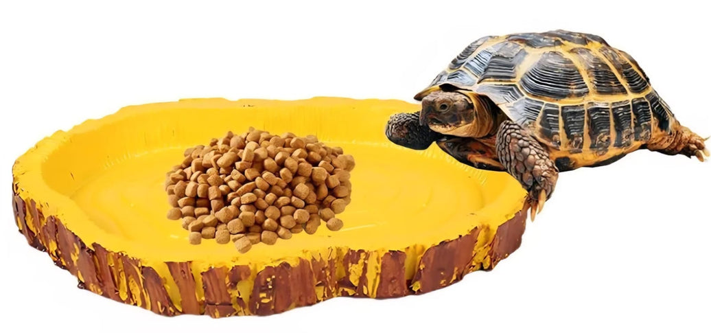 SAAS Turtle Food Bowl
