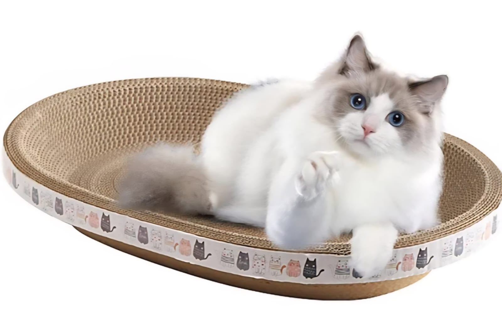 Saas Cat Scratcher Toys  50×9cm