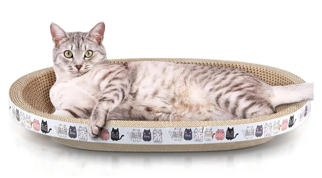 Saas Cat Scratcher Toys 55× 9cm