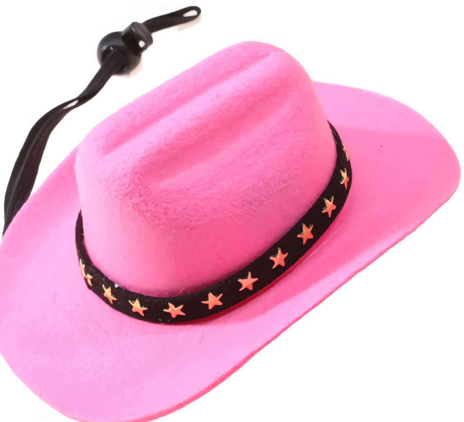 Saas Cowboy Pet Hat