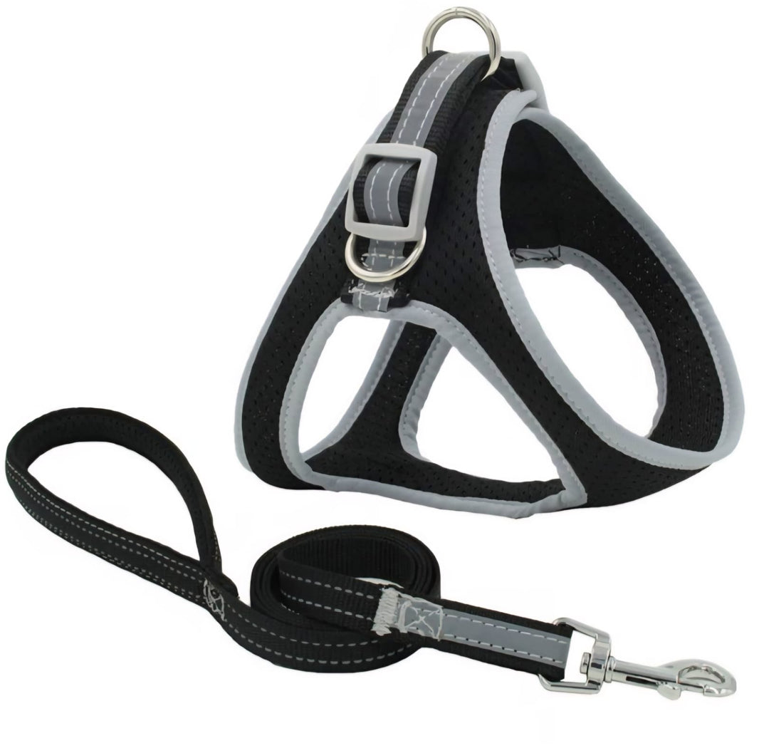 Saas  Dog Harness Black Color XXS