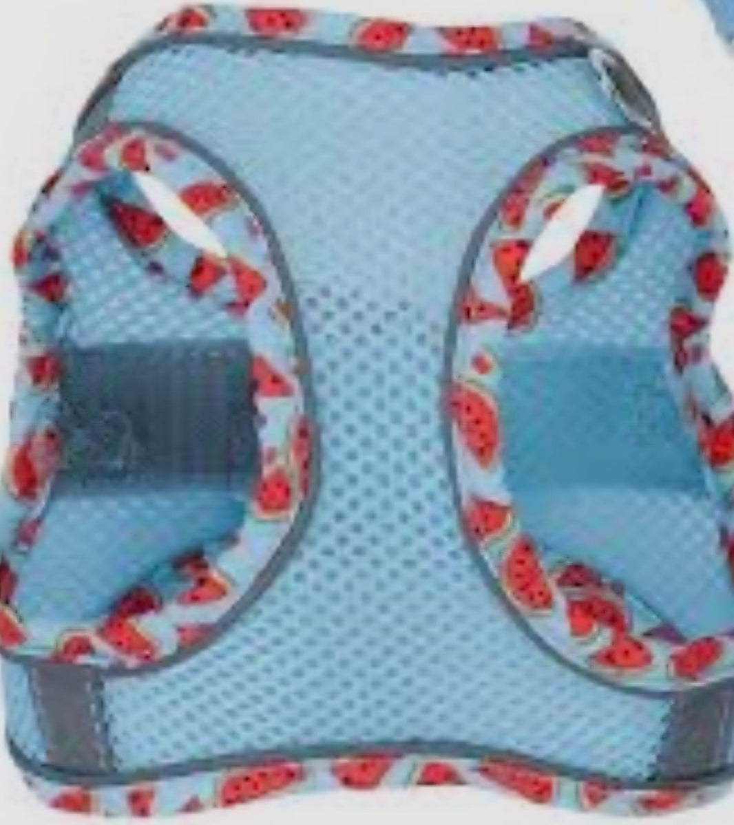 Saas Dog Harness Medium