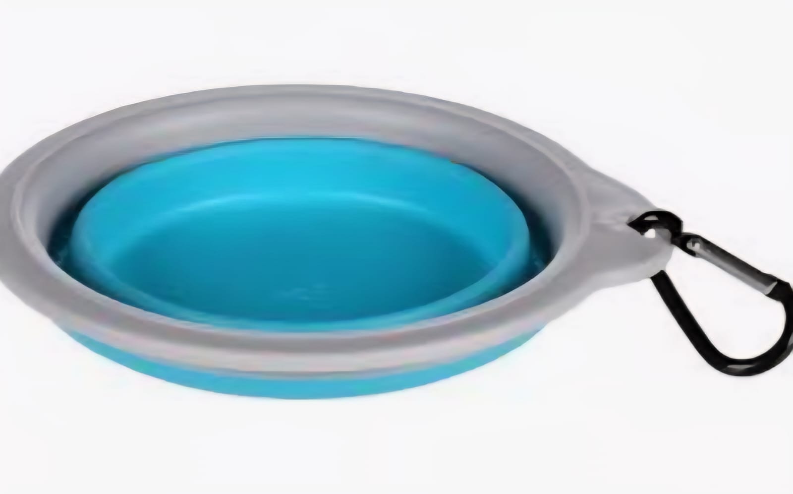 Saas Feeding And Drinking Bowl