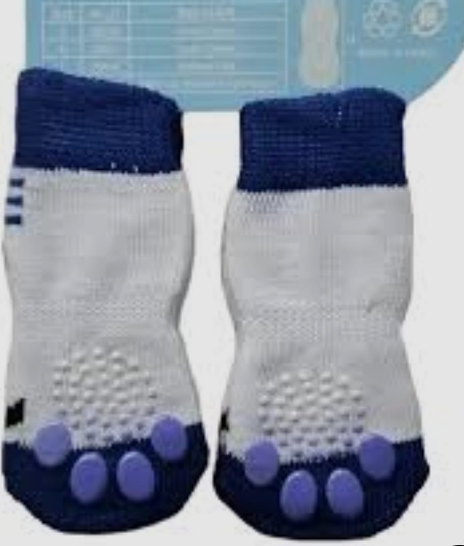 Saas Pets Socks large